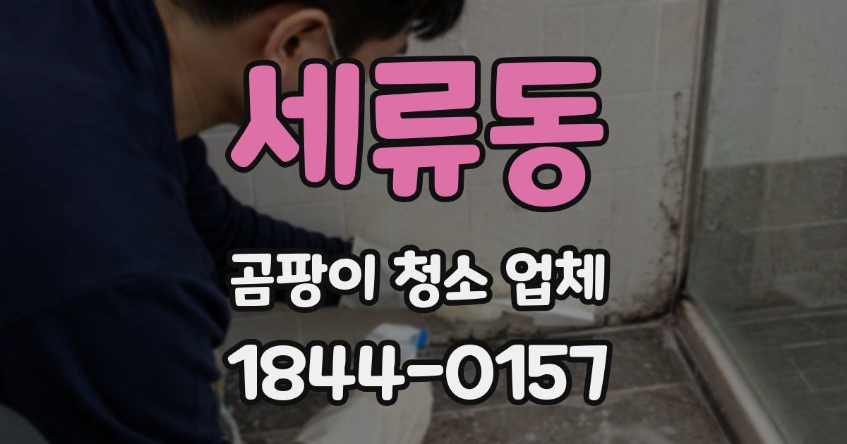 세류동 곰팡이 청소 업체
