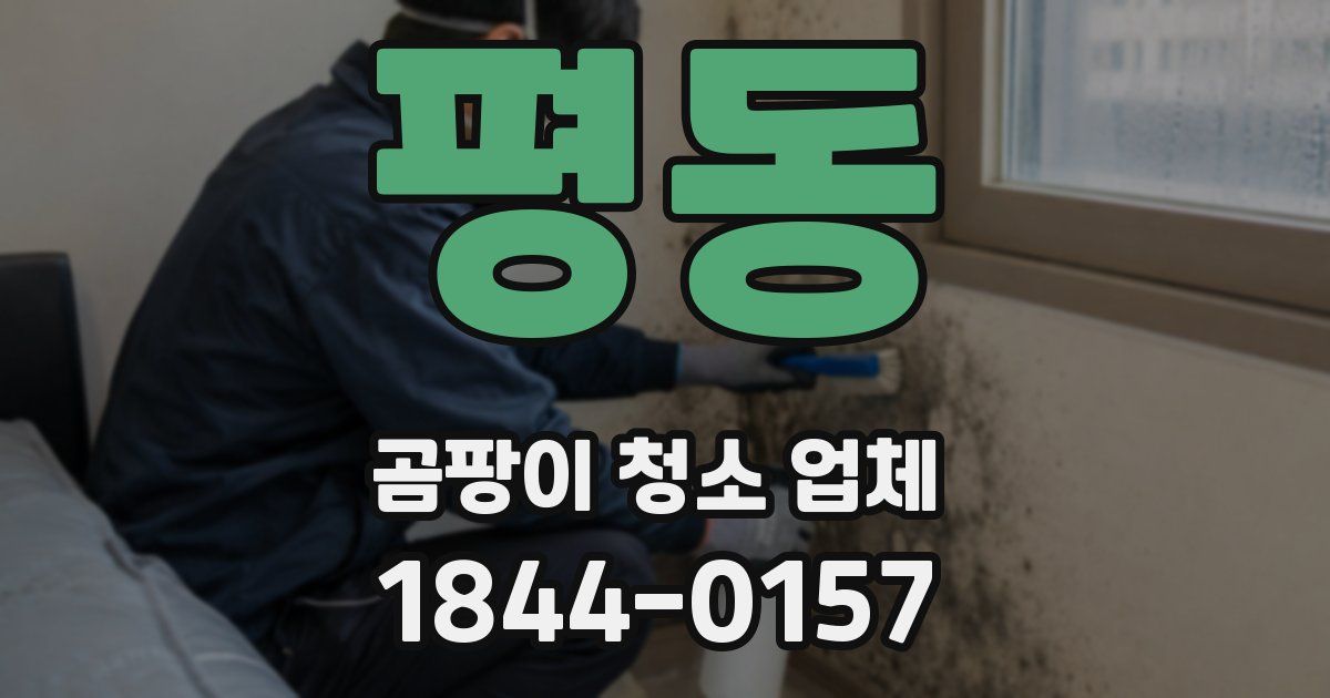 평동 곰팡이 청소 업체