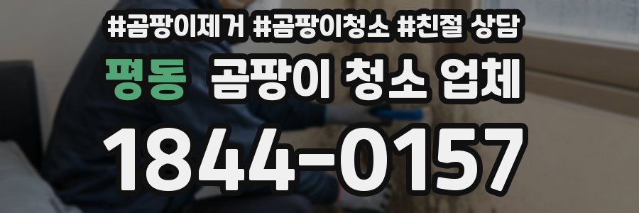 평동 곰팡이 청소 업체