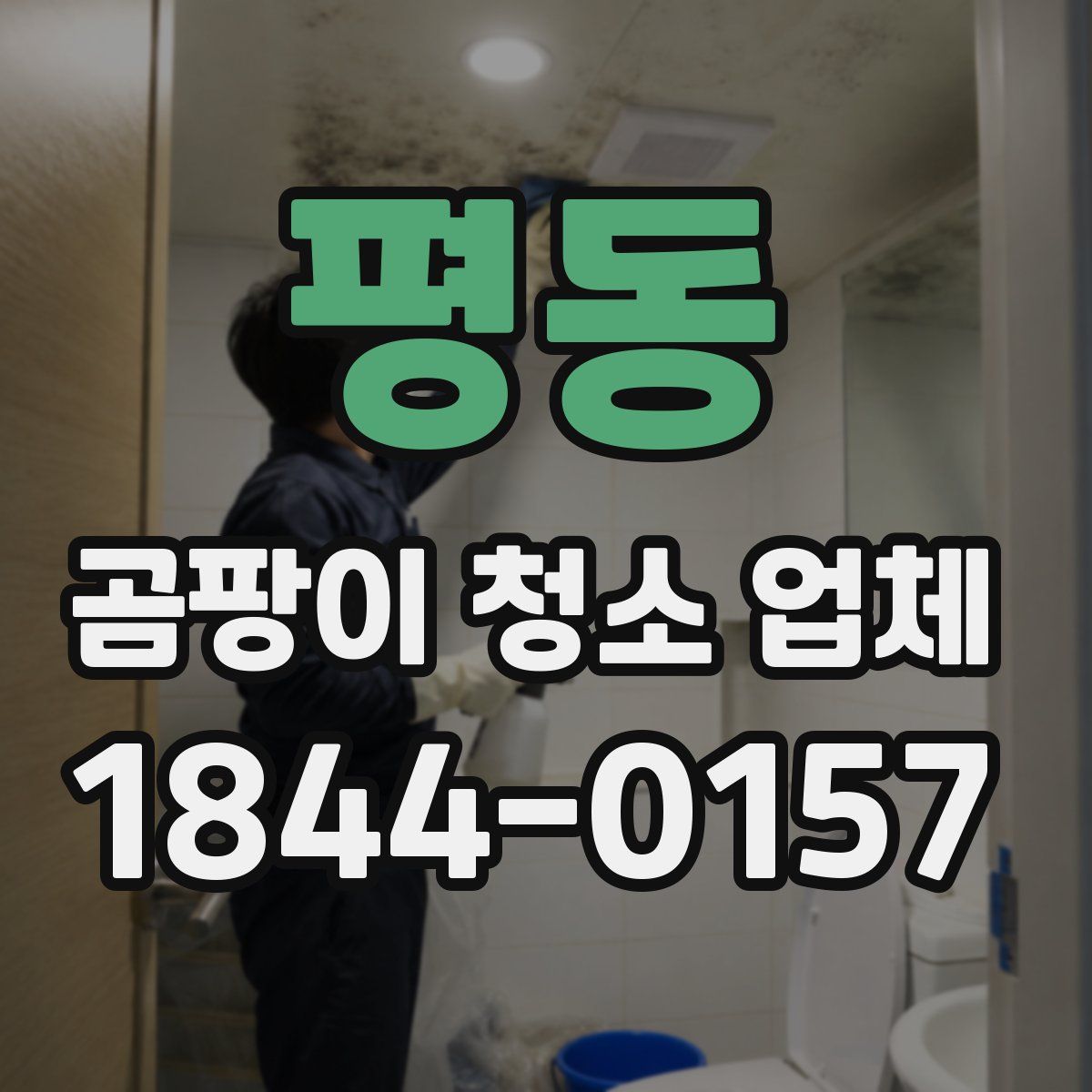 평동 곰팡이 청소 업체