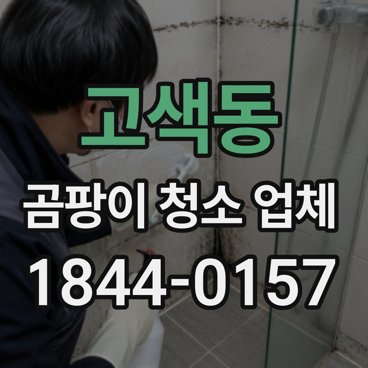 고색동 곰팡이 청소 업체