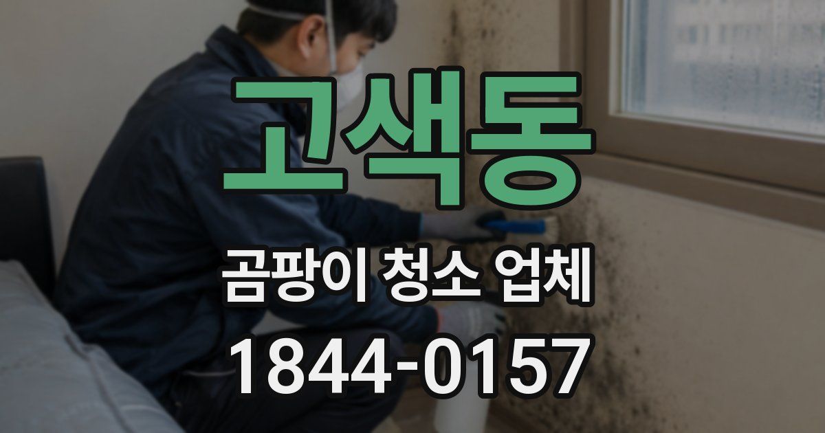 고색동 곰팡이 청소 업체