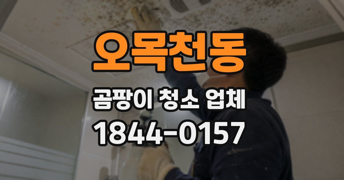 오목천동 곰팡이 청소 업체
