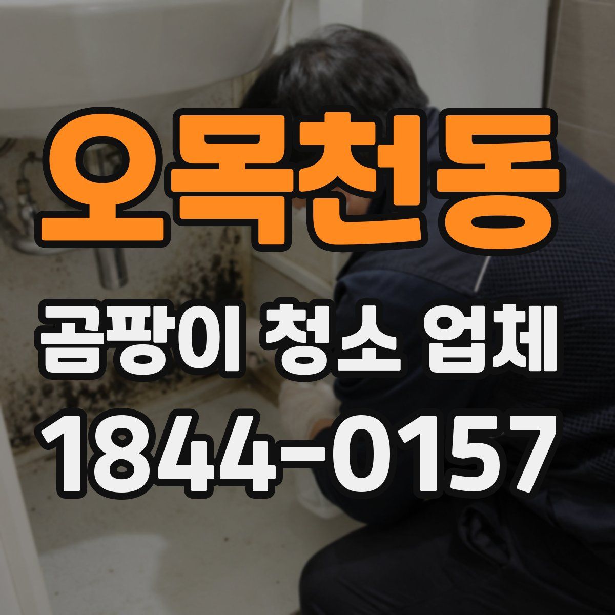 오목천동 곰팡이 청소 업체