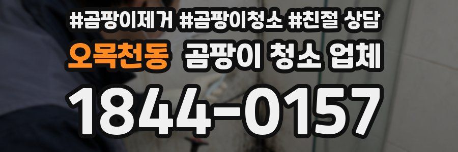 오목천동 곰팡이 청소 업체