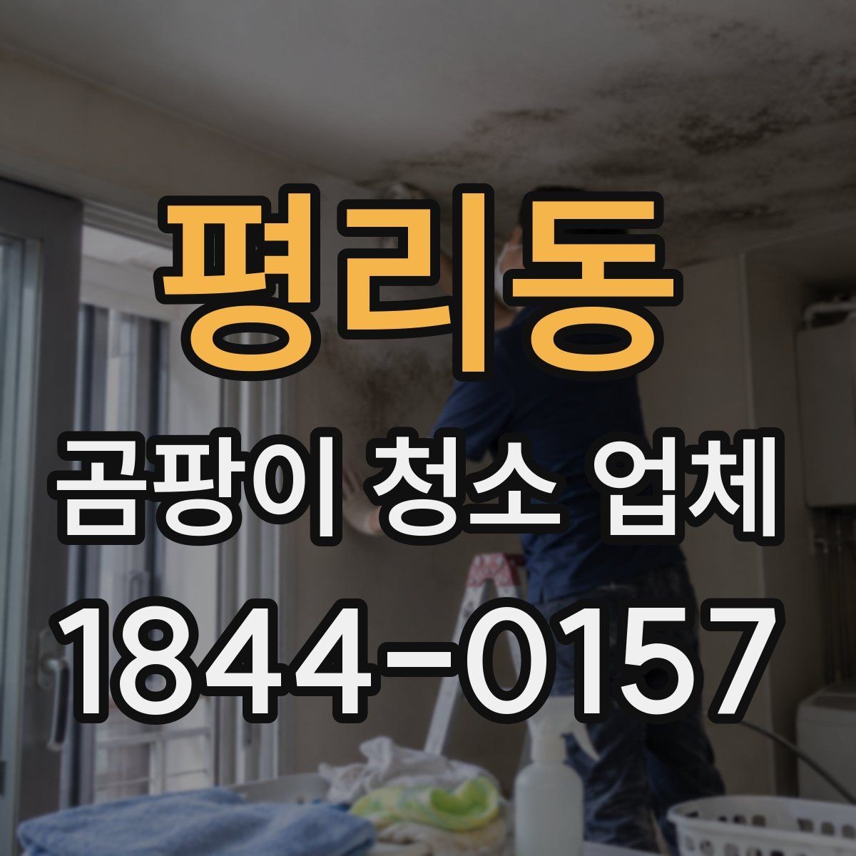 평리동 곰팡이 청소 업체 의뢰 시 알아둘 진행 순서
