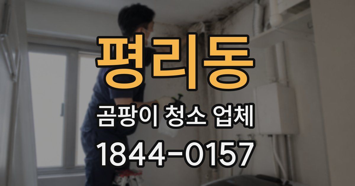 평리동 곰팡이 청소 업체