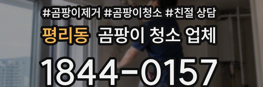 평리동 곰팡이 청소 업체