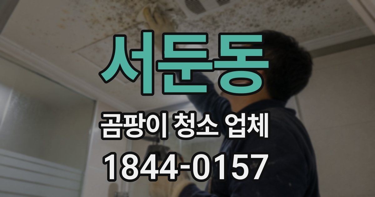 서둔동 곰팡이 청소 업체