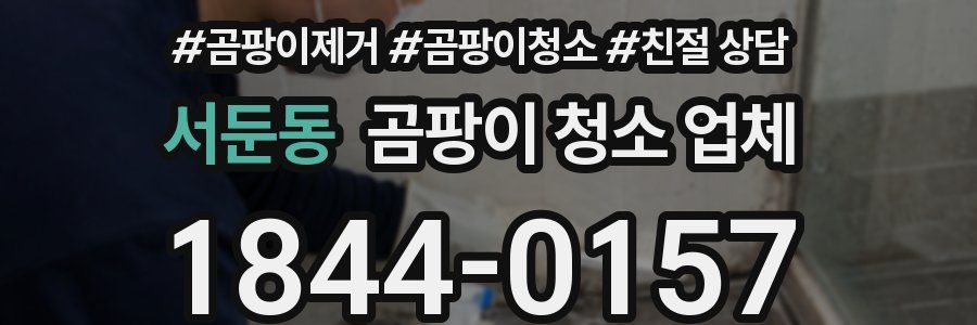 서둔동 곰팡이 청소 업체