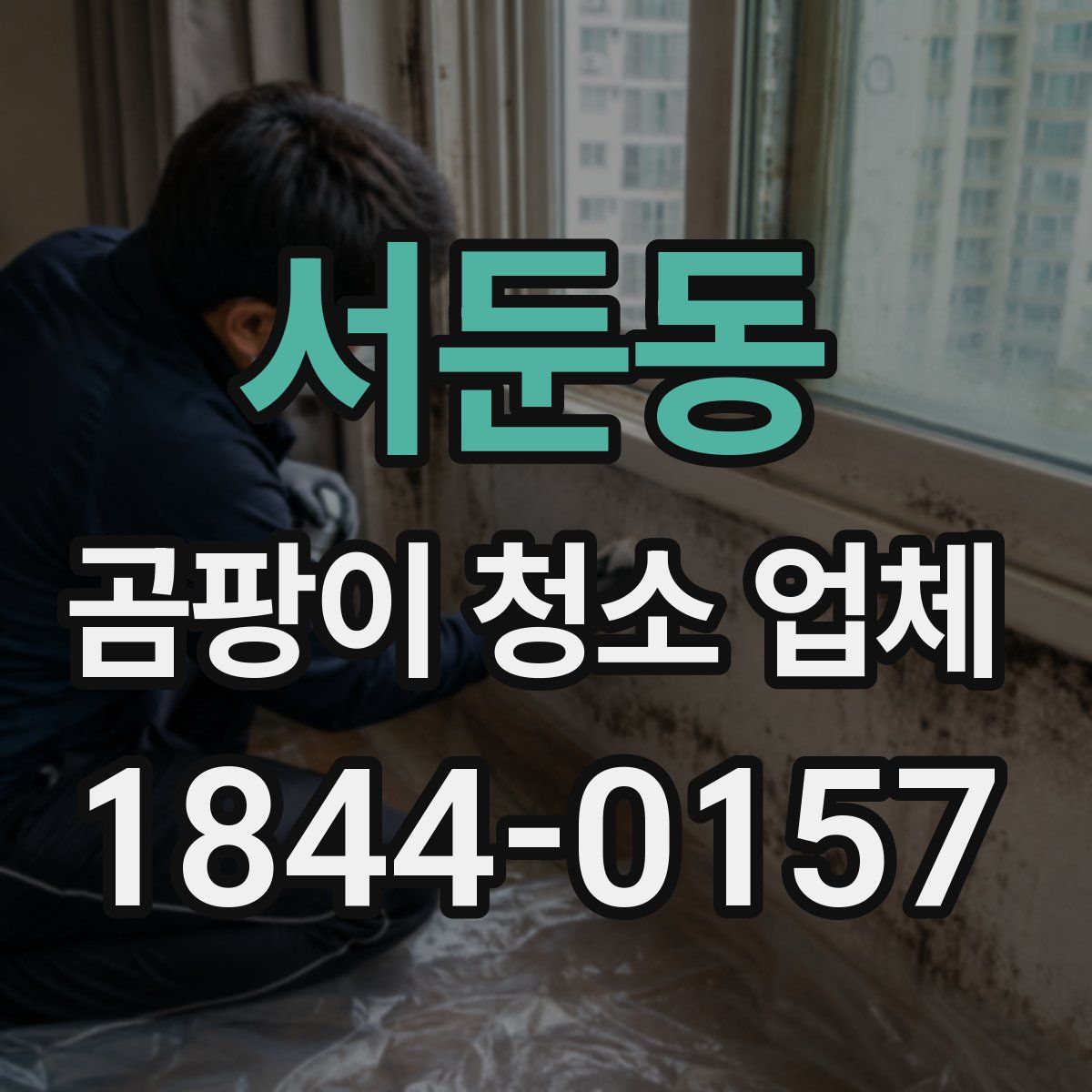 서둔동 곰팡이 청소 업체
