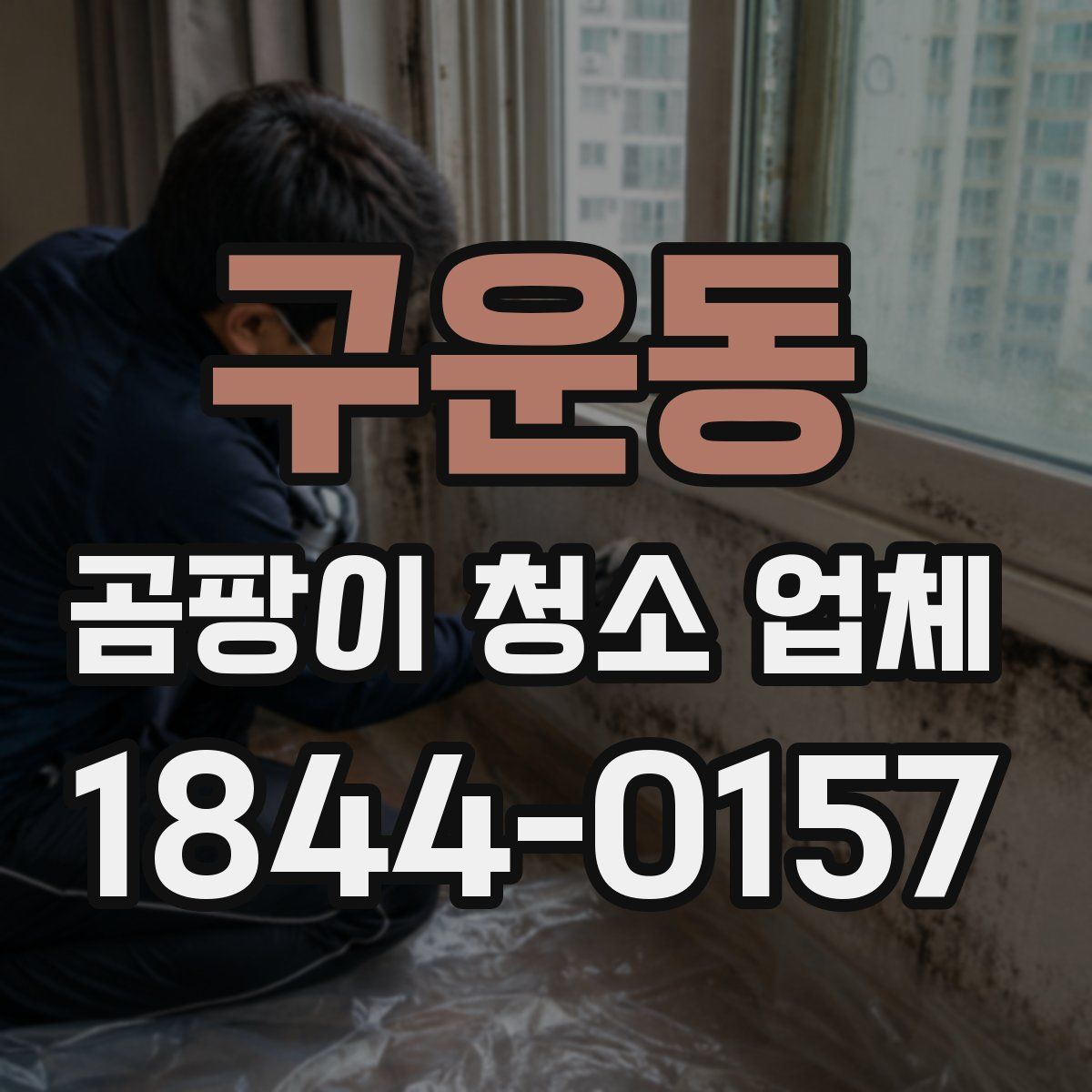 구운동 곰팡이 청소 업체