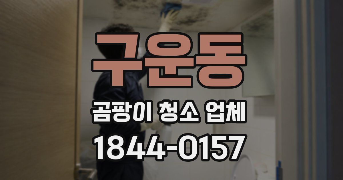 구운동 곰팡이 청소 업체