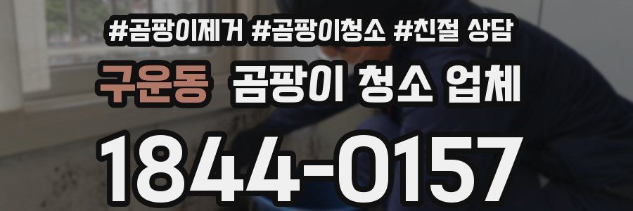 구운동 곰팡이 청소 업체