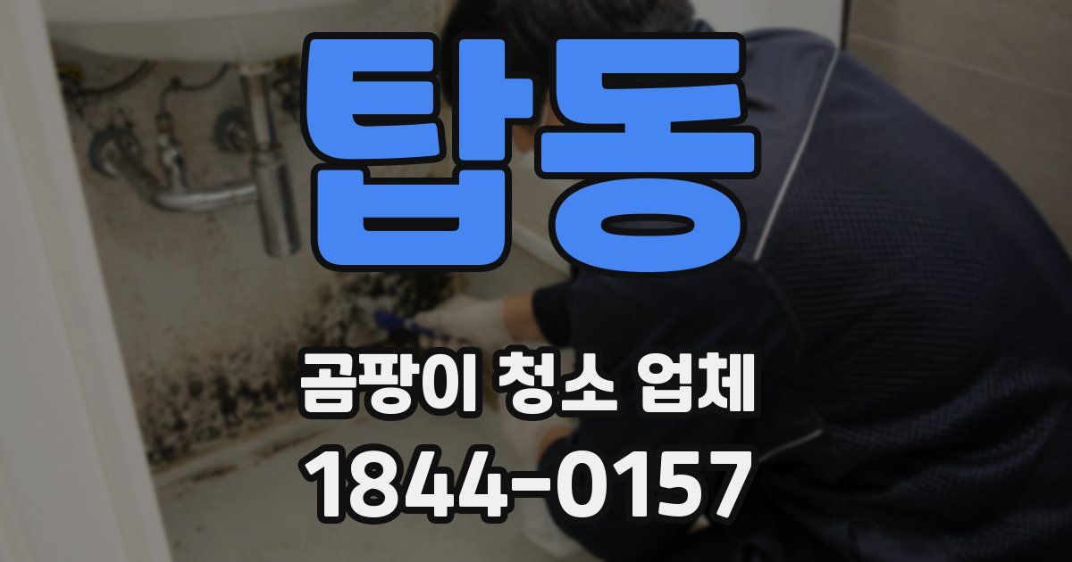 탑동 곰팡이 청소 업체