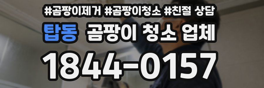 탑동 곰팡이 청소 업체