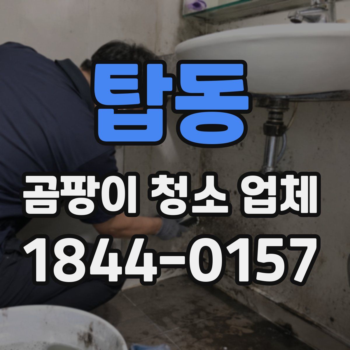 탑동 곰팡이 청소 업체