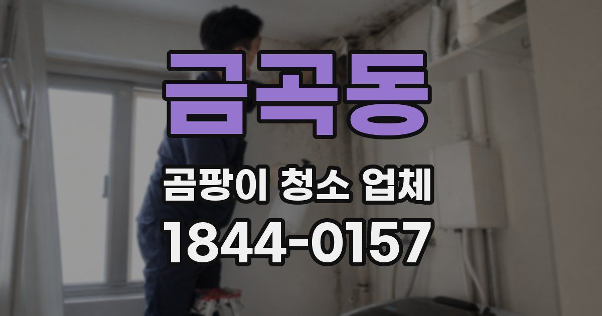 금곡동 곰팡이 청소 업체