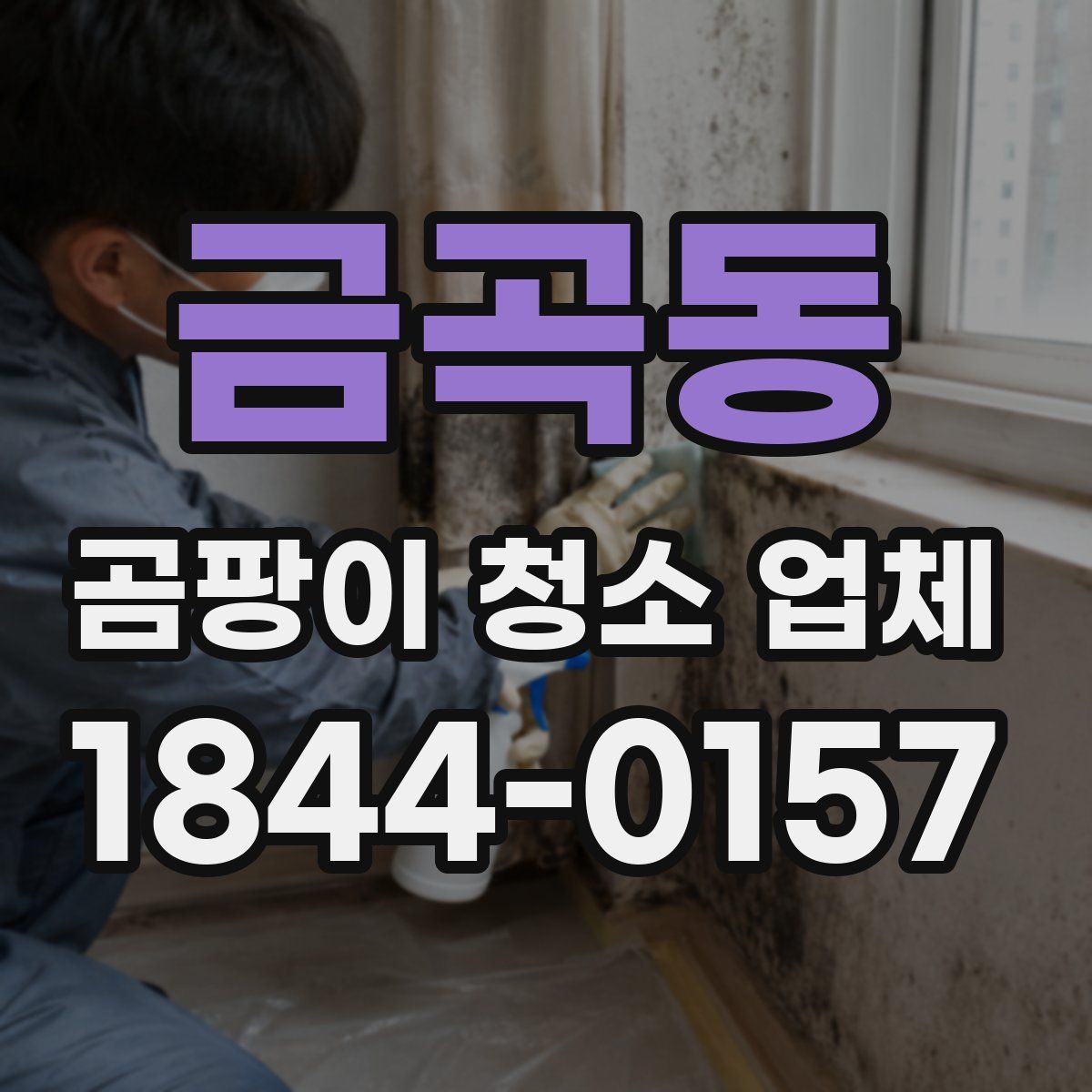 금곡동 곰팡이 청소 업체