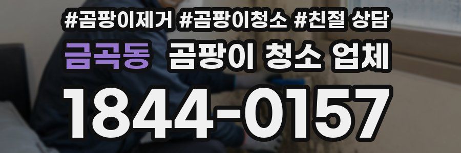 금곡동 곰팡이 청소 업체