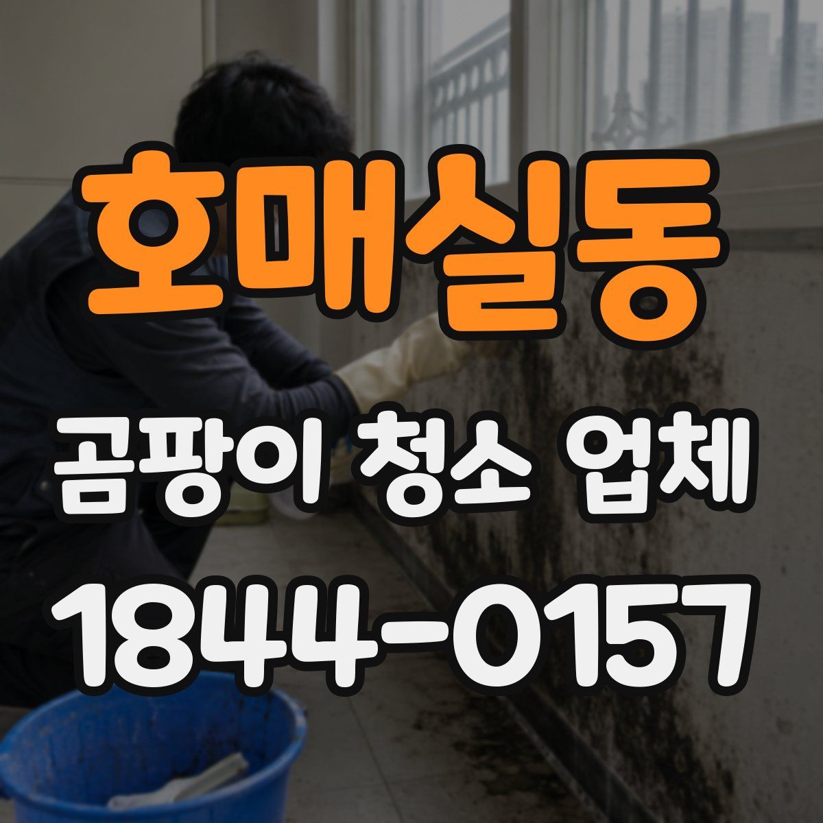 호매실동 곰팡이 청소 업체