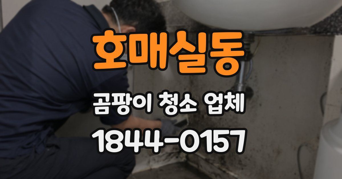 호매실동 곰팡이 청소 업체