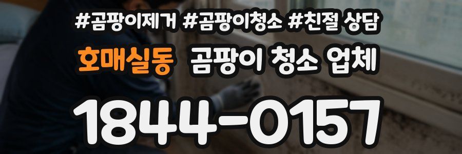 호매실동 곰팡이 청소 업체