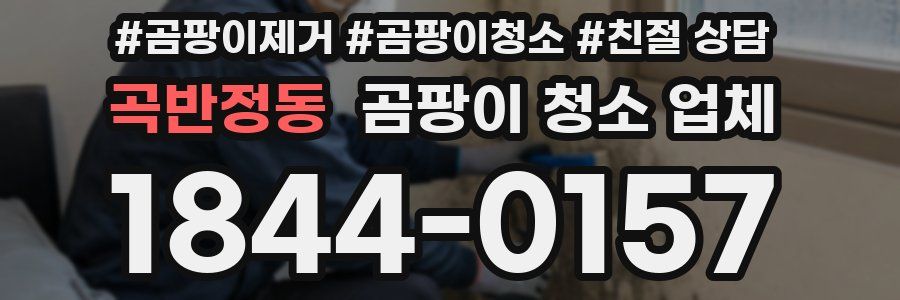 곡반정동 곰팡이 청소 업체