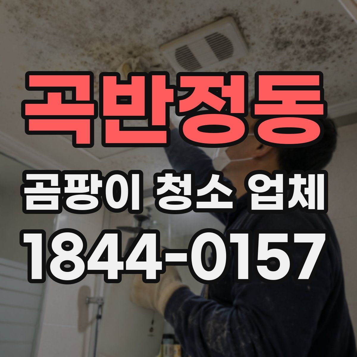 곡반정동 곰팡이 청소 업체