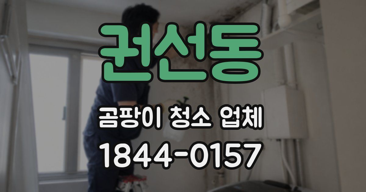 권선동 곰팡이 청소 업체