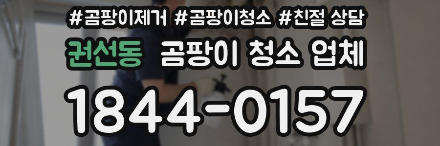 권선동 곰팡이 청소 업체