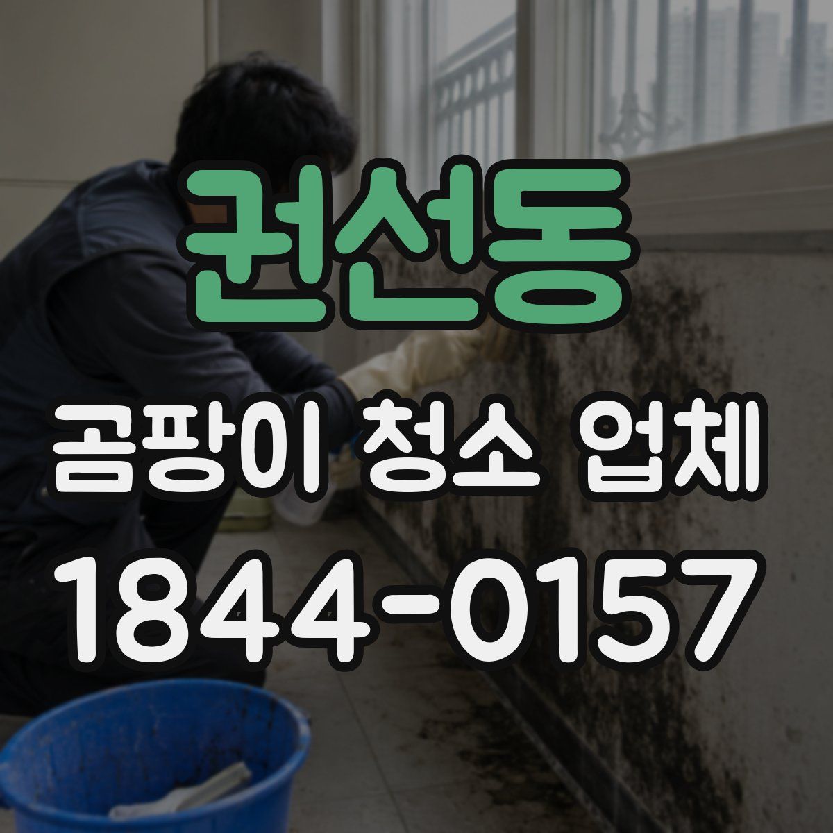 권선동 곰팡이 청소 업체