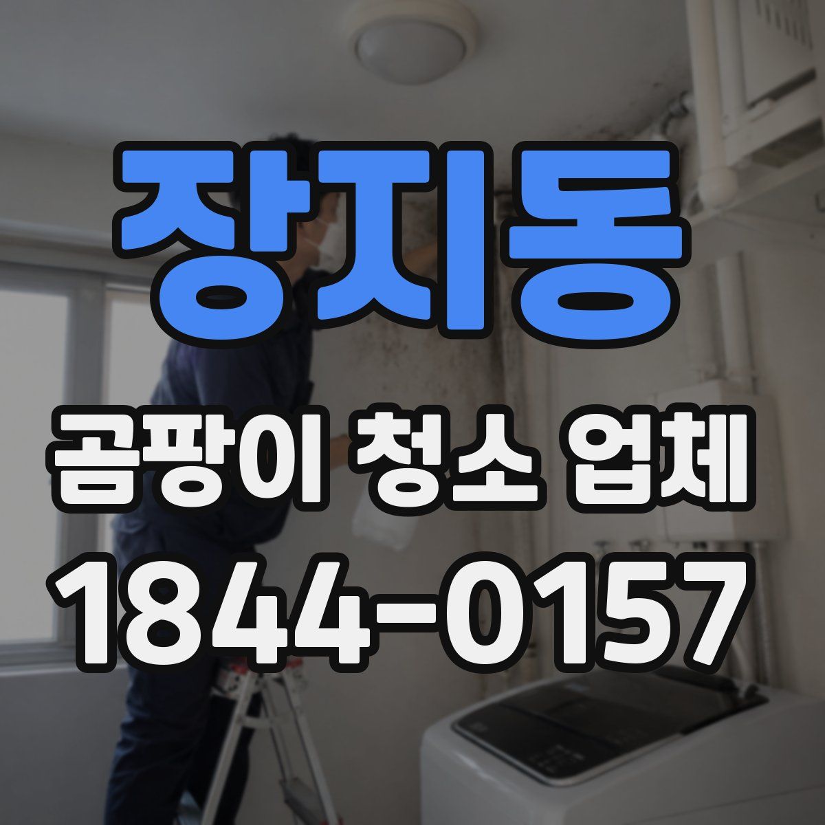 장지동 곰팡이 청소 업체