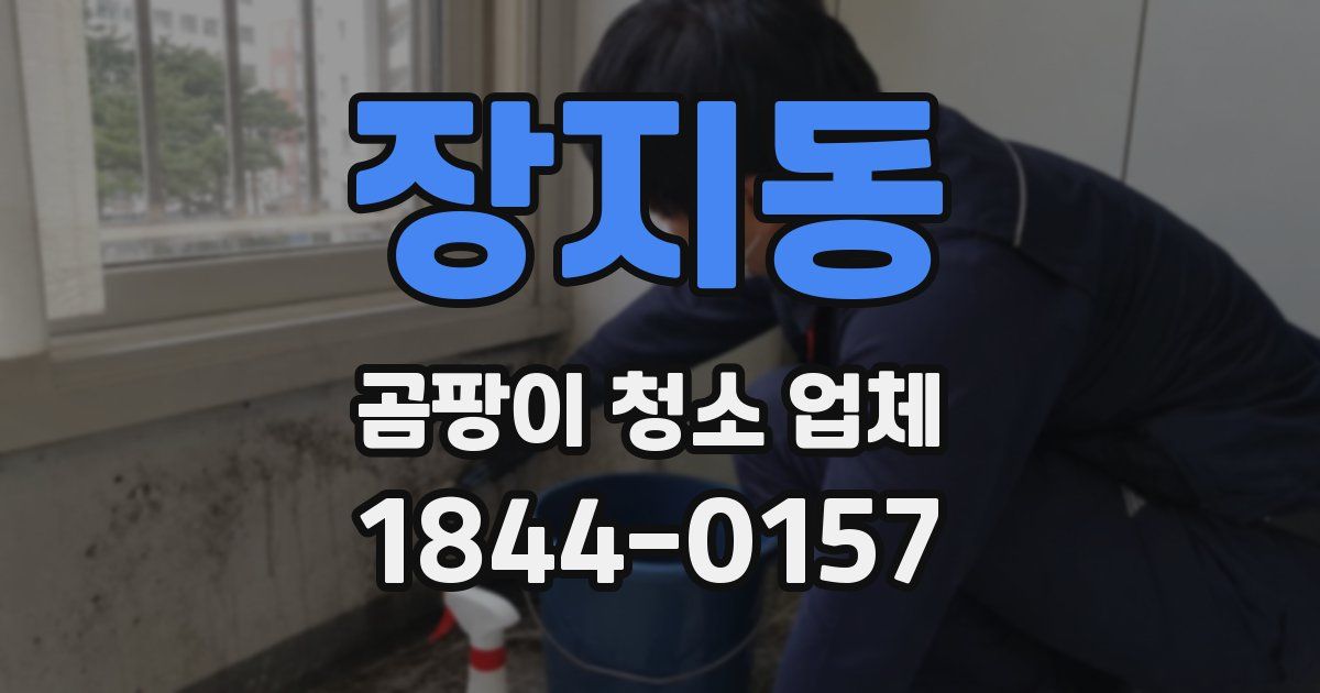 장지동 곰팡이 청소 업체