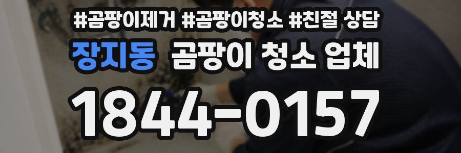 장지동 곰팡이 청소 업체