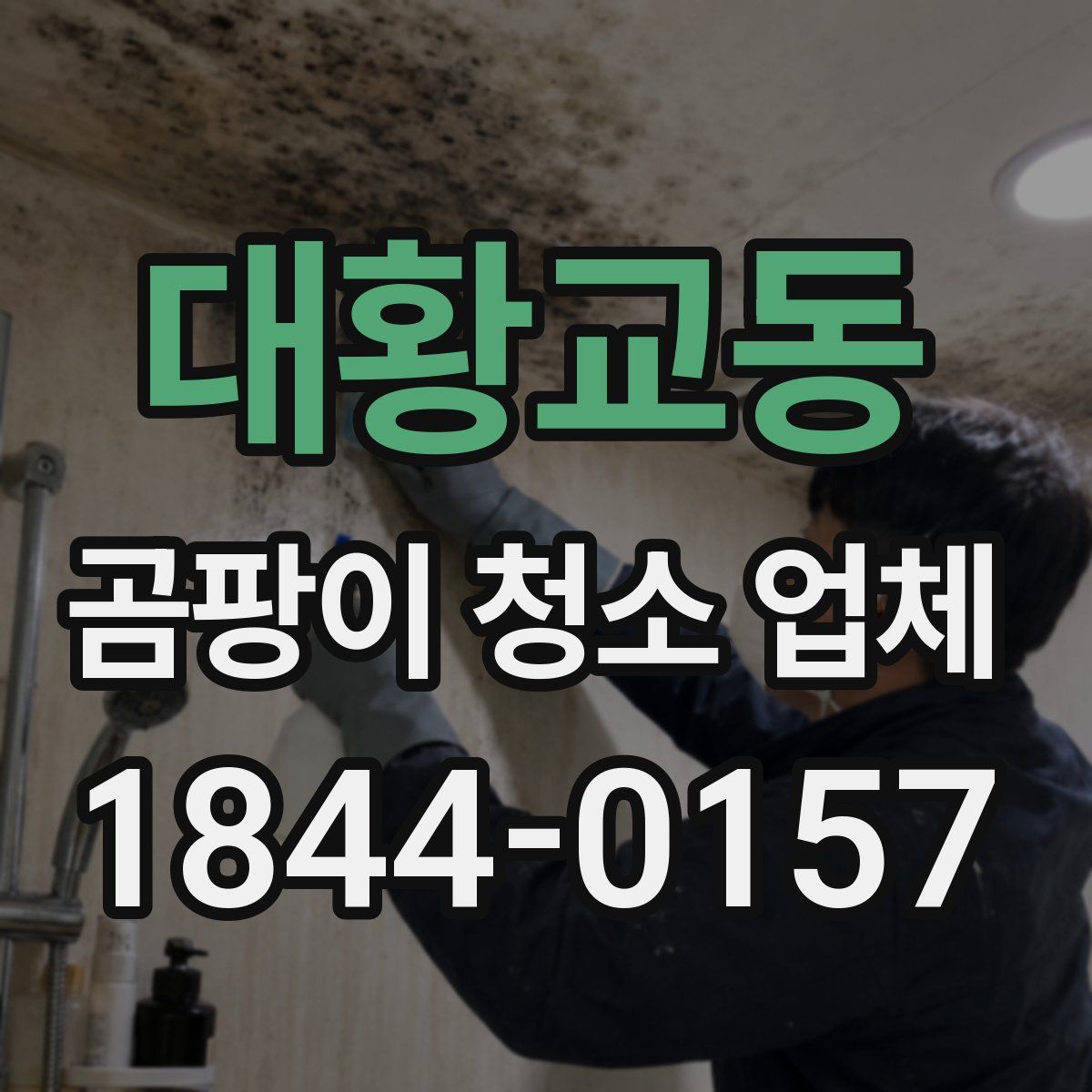 대황교동 곰팡이 청소 업체