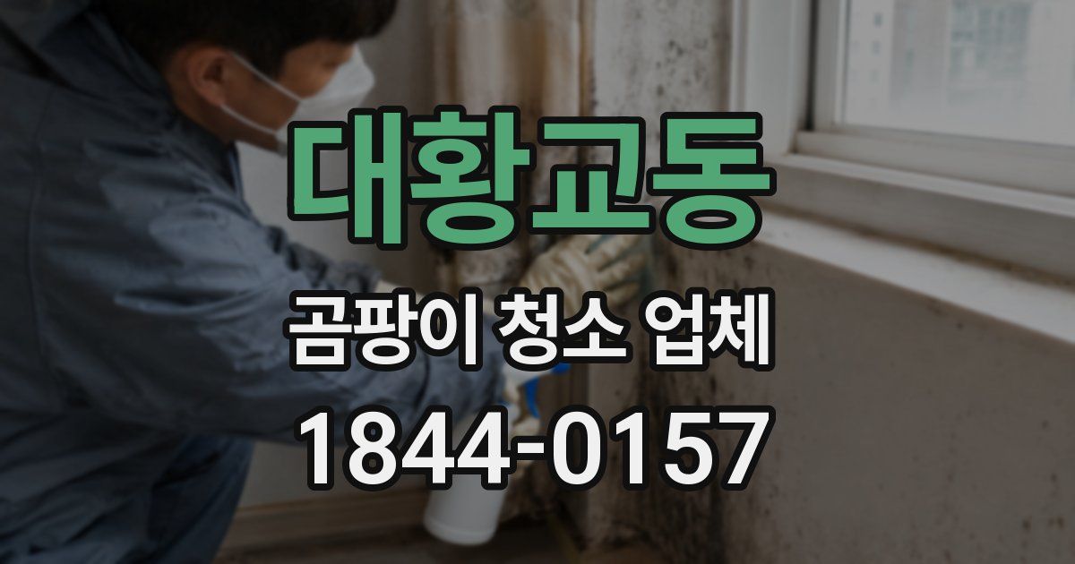 대황교동 곰팡이 청소 업체