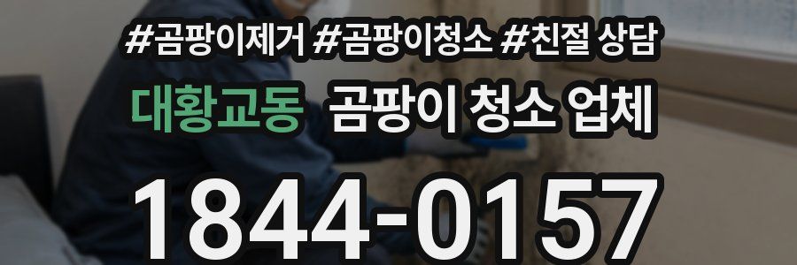 대황교동 곰팡이 청소 업체