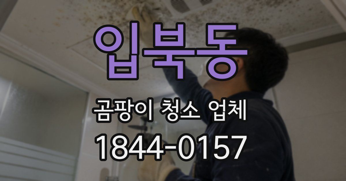 입북동 곰팡이 청소 업체