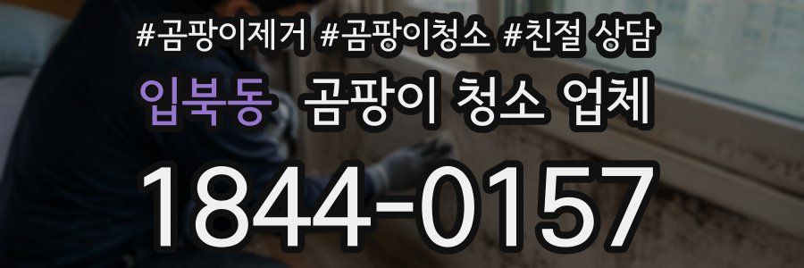 입북동 곰팡이 청소 업체