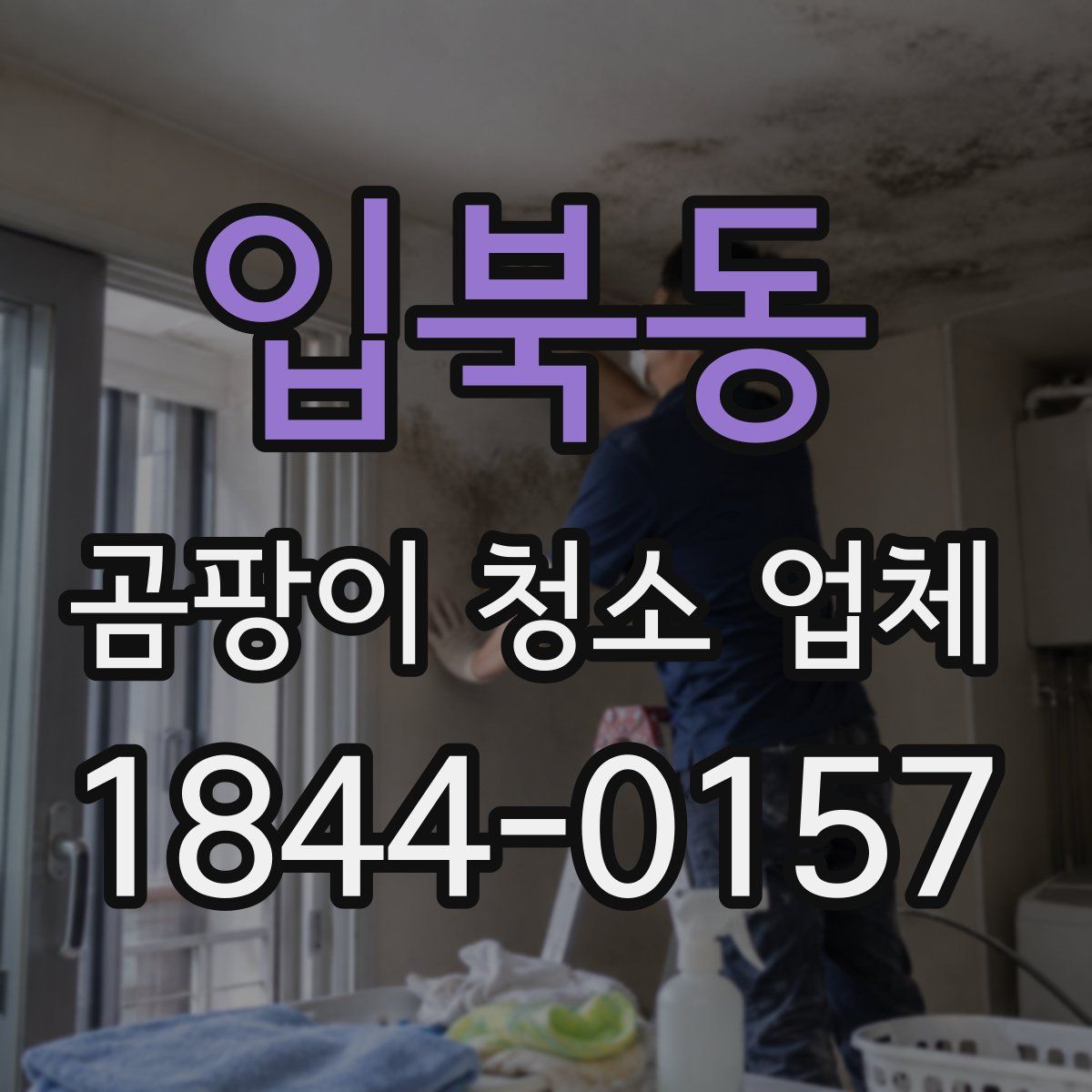 입북동 곰팡이 청소 업체