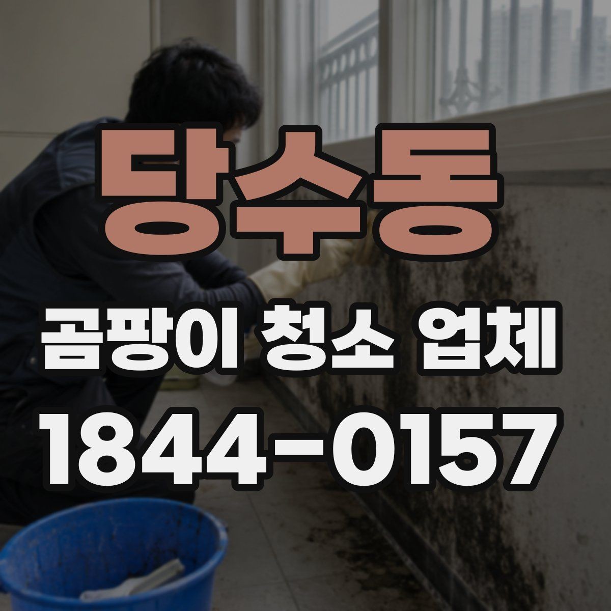 당수동 곰팡이 청소 업체 후기에서 많이 보이는 항목