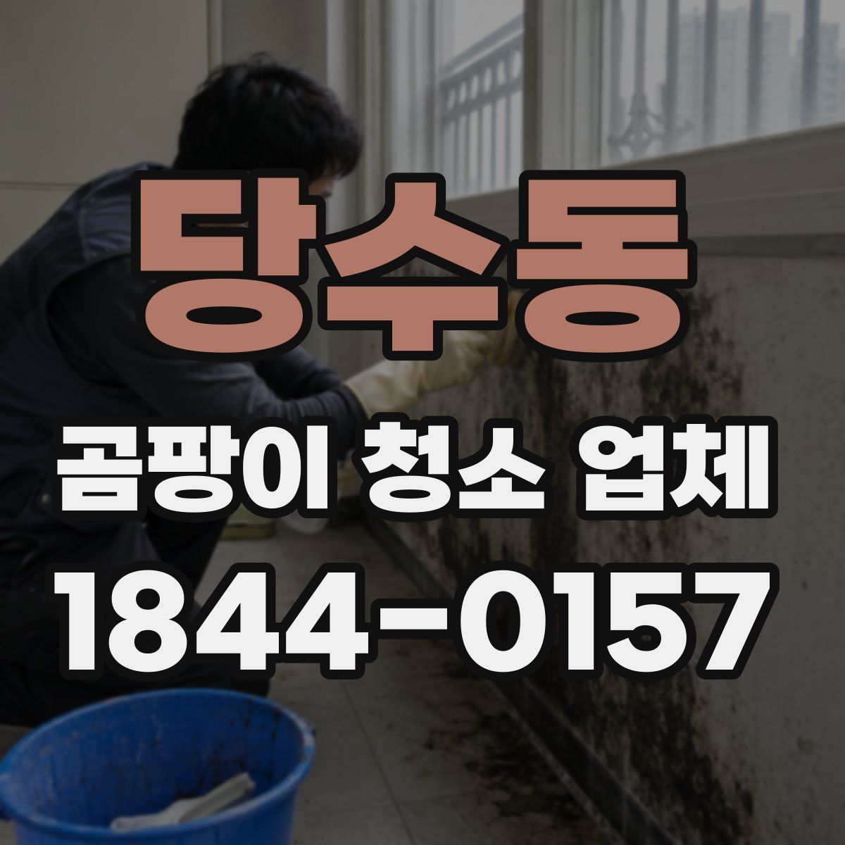 당수동 곰팡이 청소 업체