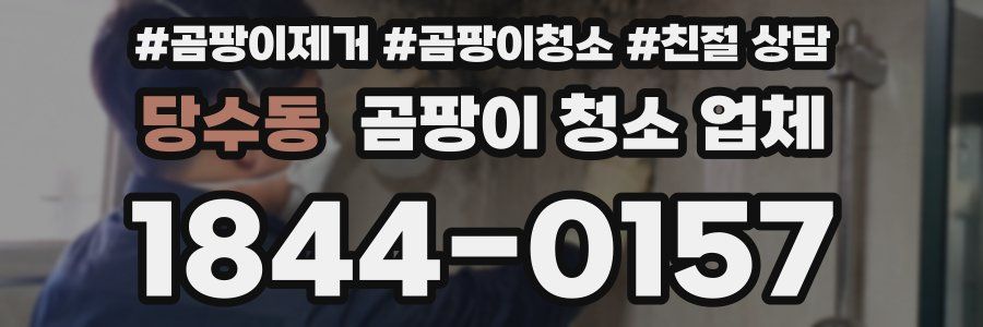 당수동 곰팡이 청소 업체