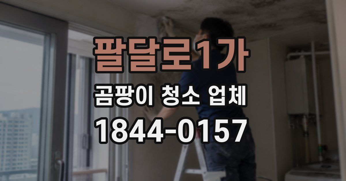 팔달로1가 곰팡이 청소 업체
