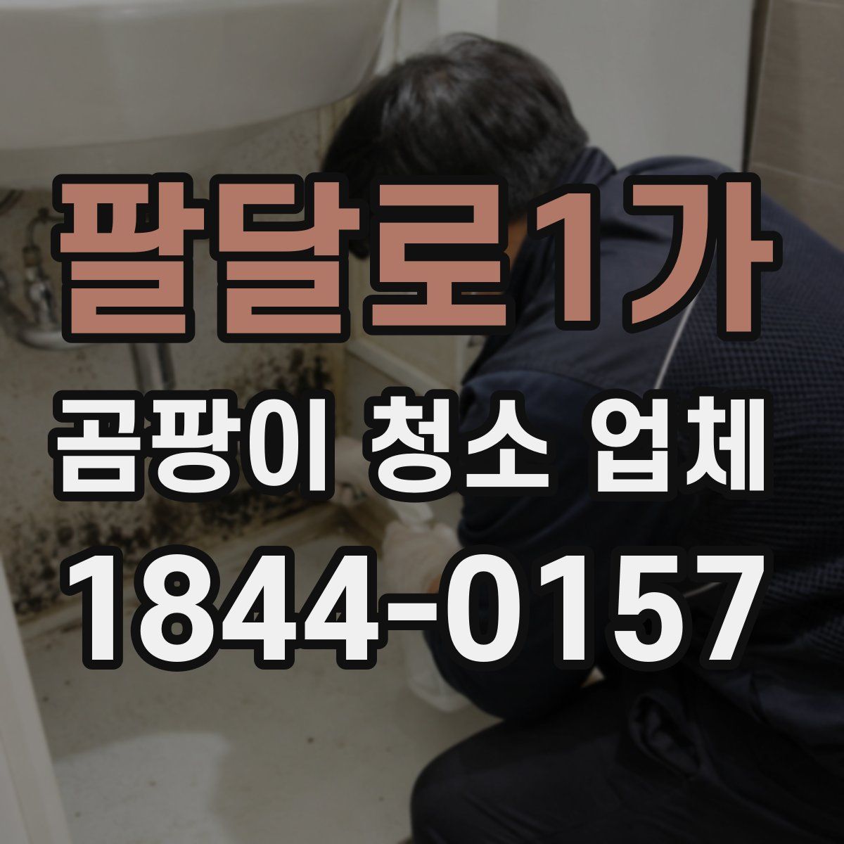 팔달로1가 곰팡이 청소 업체