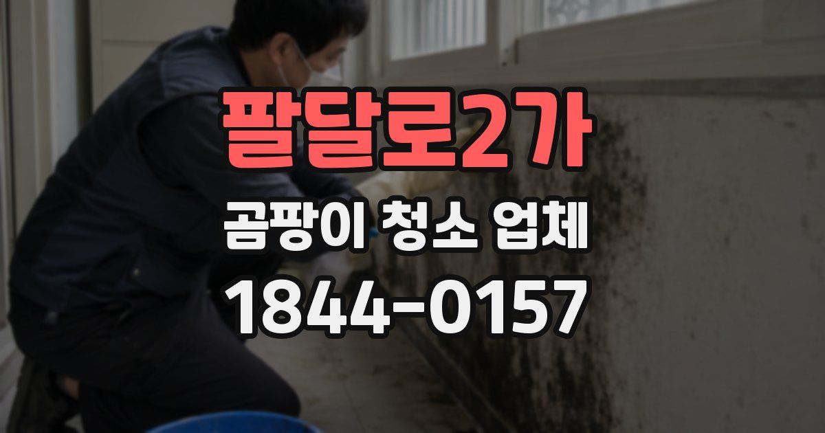 팔달로2가 곰팡이 청소 업체