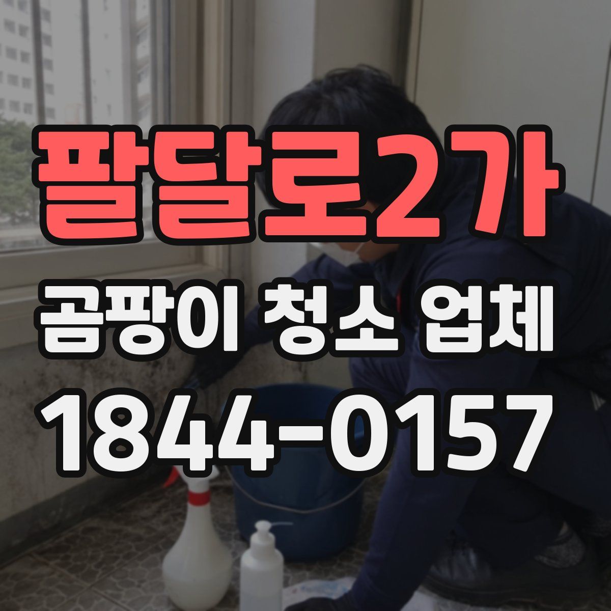 팔달로2가 곰팡이 청소 업체