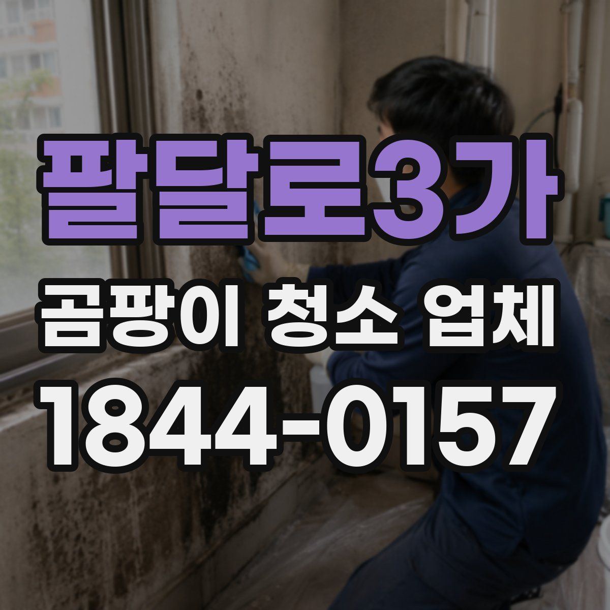 팔달로3가 곰팡이 청소 업체