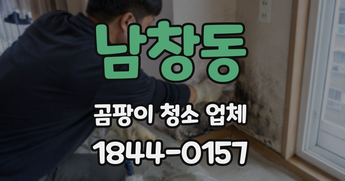 남창동 곰팡이 청소 업체